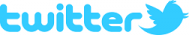 Twitter Twitter Page